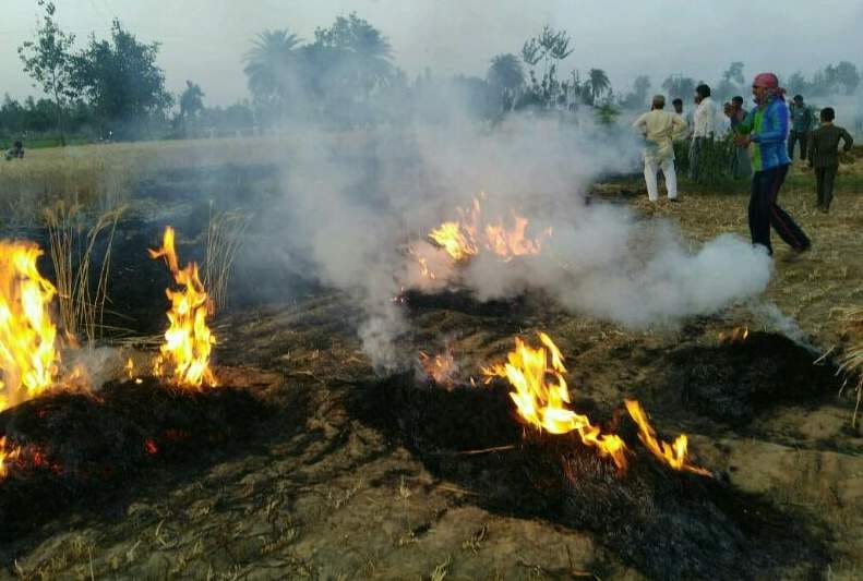 crop caught fire in sambhal district