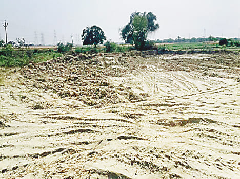 Mining mafia farmer digging farm