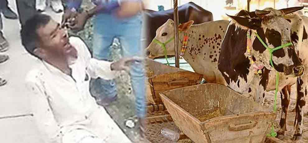 10 muslims lost their lives in mewat agter cow 