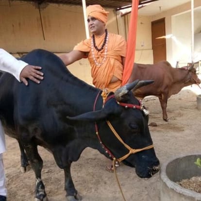 End the fear of spreading society in the name of Cow protection PM: Shankaracharya