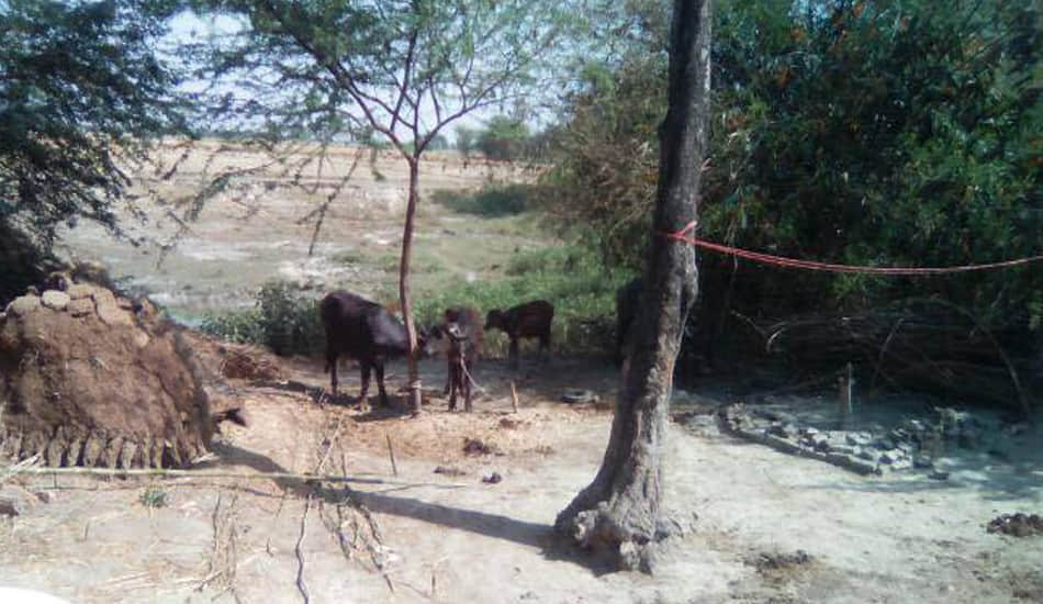 stepfather killed minor girl after rape