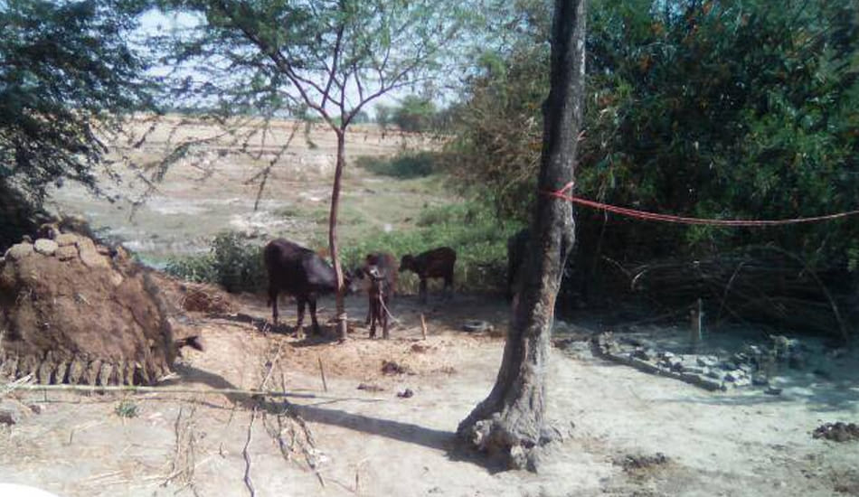stepfather killed minor girl after rape