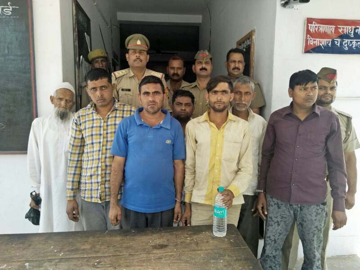 Raid on slaughterhouses caught up to five quintals of meat