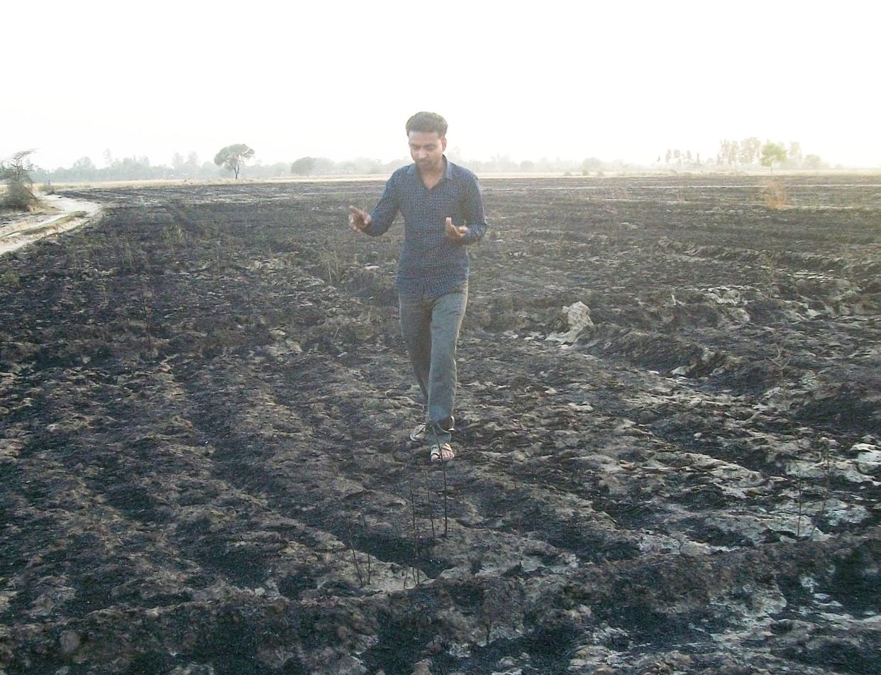 Three hundred bigha wheat crop from the fire
