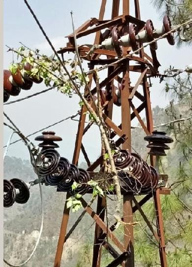 Tree branch on the power line
