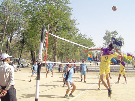 Host basketball, handball dominance