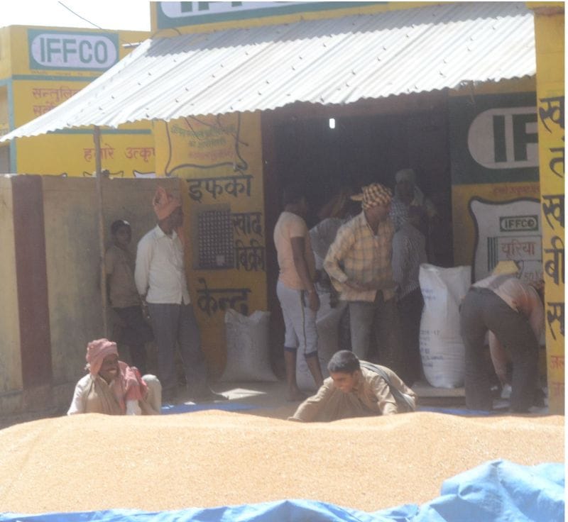 Wheat scam comes under lakhimpur Khiri Bareilly