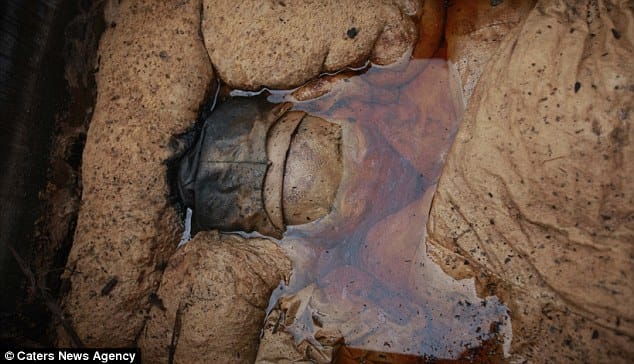700-year-old mummy found by chance by Chinese road workers