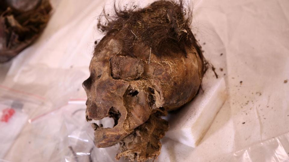  pictures of 1,000-year-old Mongolian mummy wearing ‘red ADIDAS boots