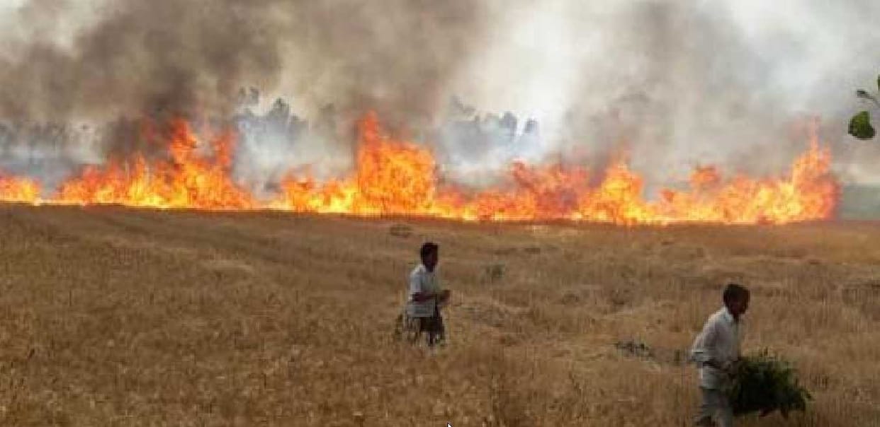 20 acres of wheat burn from farm fire