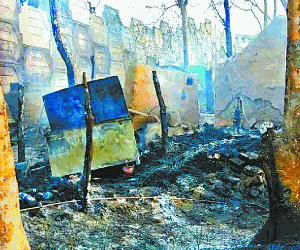 Many acres of forest and 28 bigha crop burns