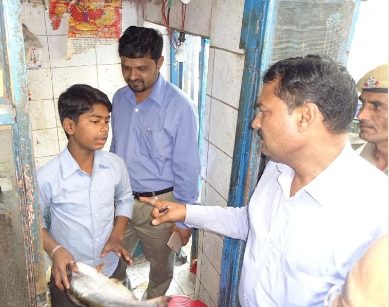 Impressions and raid in the stores of meat and fish shops