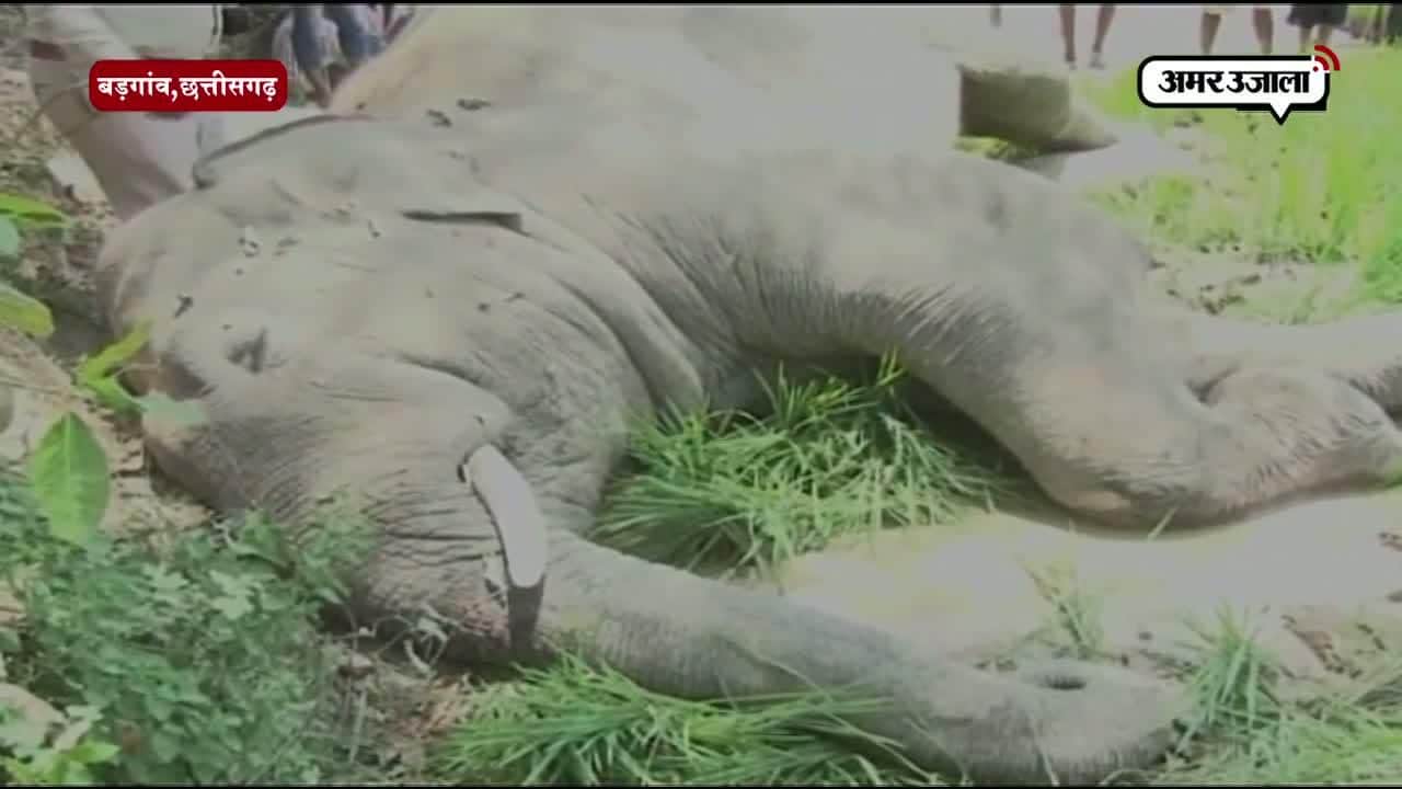 छत्तीगढ़