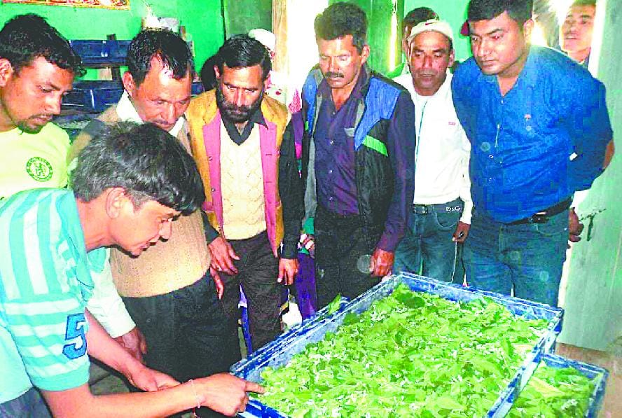 Initiative of silk production in upper Ramganga valley