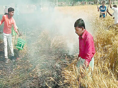 Five houses burnt in the fire, 35 bigha crop blossom