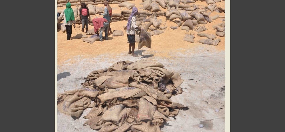 10 thousand sacks of wheat burnt due to fire in faridabad