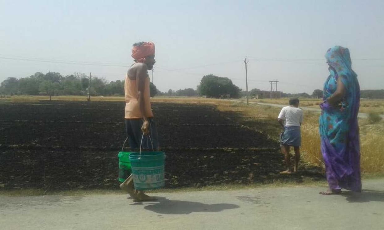Nine families have died after being forced to eat two buffaloes