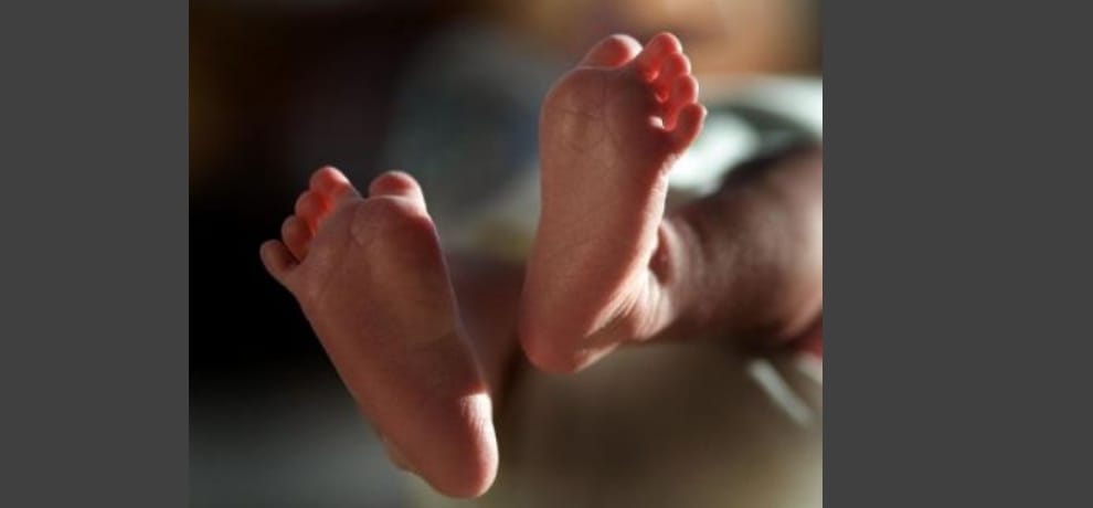 Before death 75 people decided to donate their body
