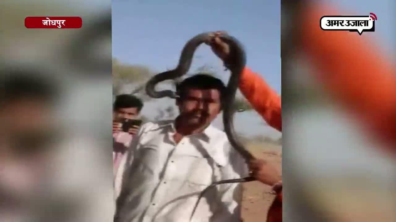 जोधपुर