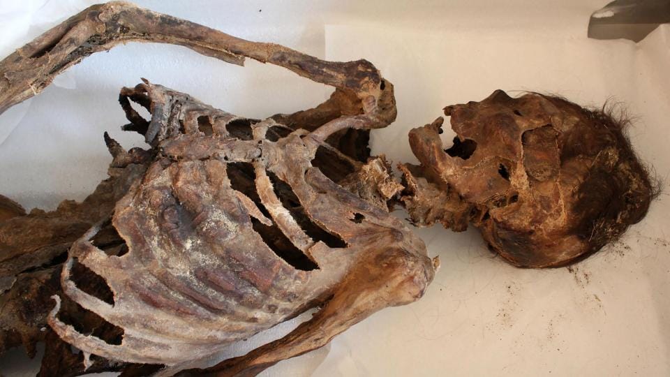  pictures of 1,000-year-old Mongolian mummy wearing ‘red ADIDAS boots