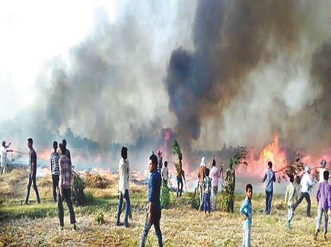 300 Bigha Wheat Crop Burns From Jalati Bidi
