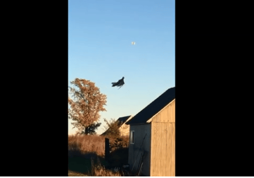black ghost was flying in the sky made people cry