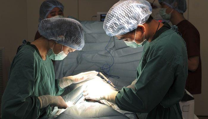 India's single largest bladder stone weighing 1.4 kg removed, says doctor