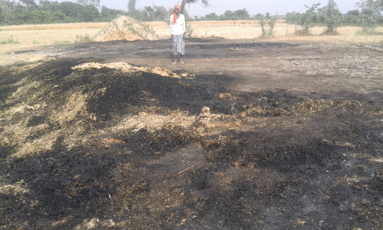 Five houses, seven bigha wheat burns
