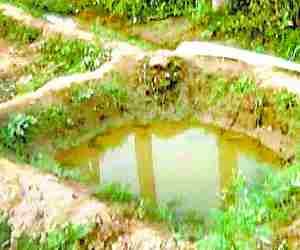 Two years girl died falling in pond.