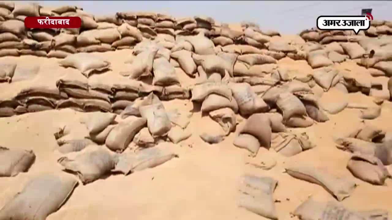 फरीदाबाद