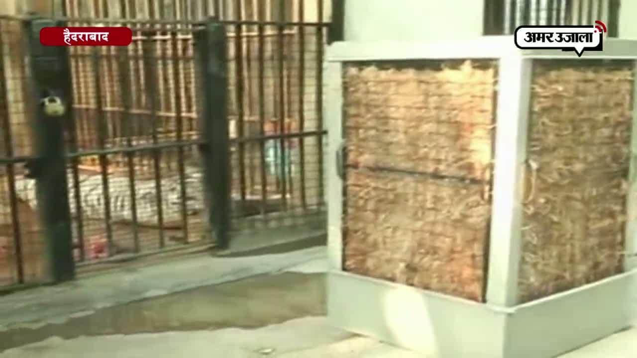 हैदराबाद