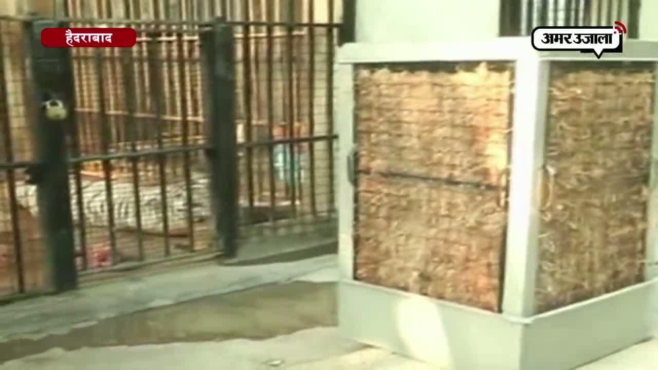 हैदराबाद