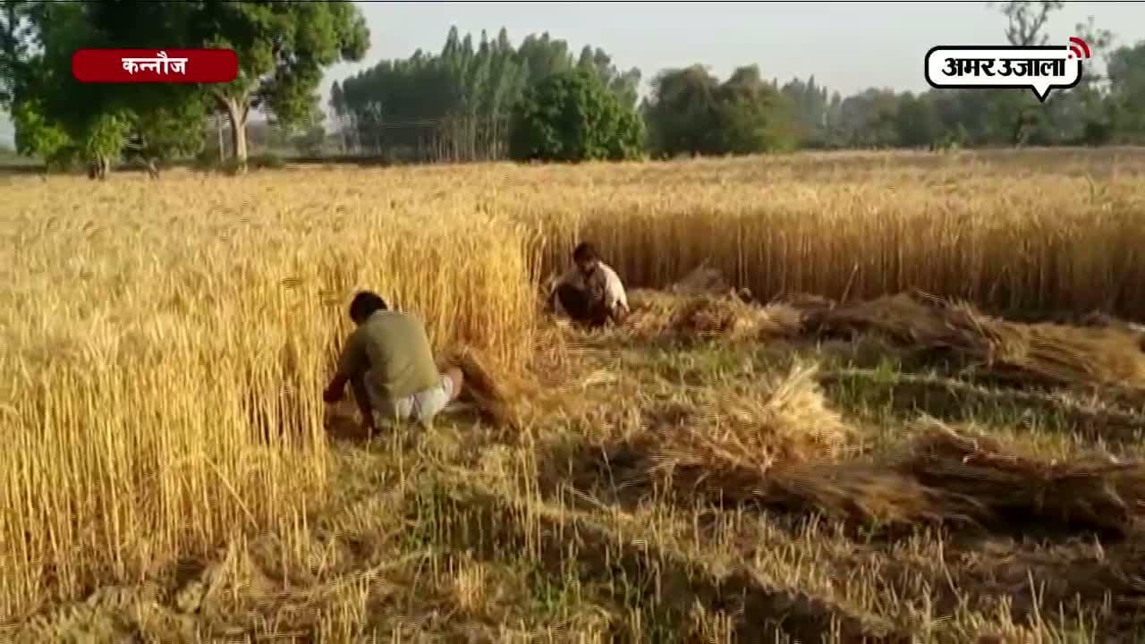 कन्नौज