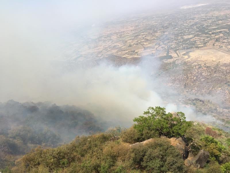fire in mount abu hill is not in control