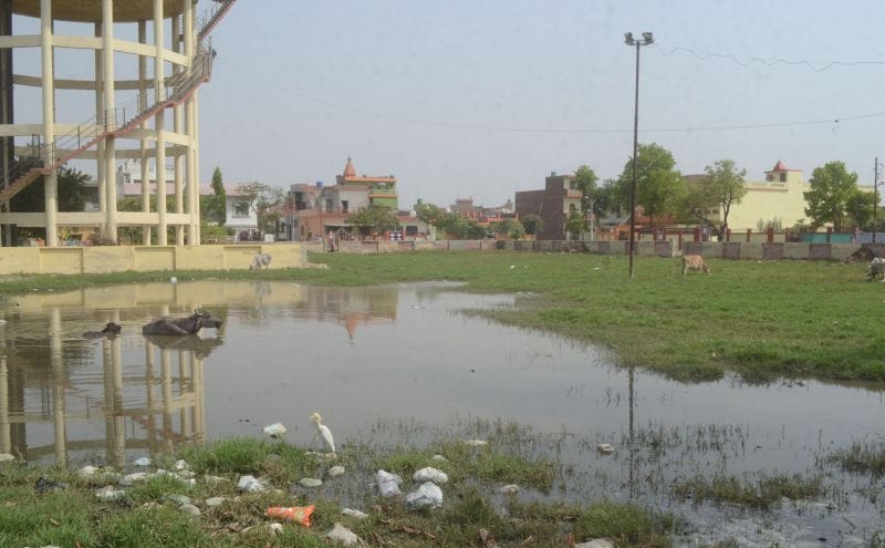 paalika ke paark badahaal, subah sair ko jagah nahin