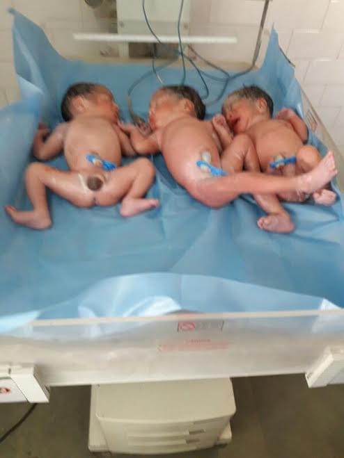 The birth of three children 