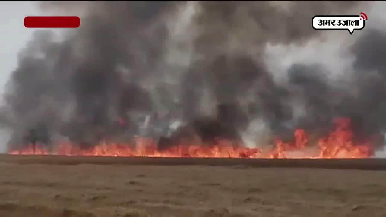 पीलीभीत