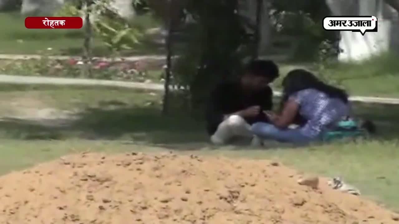 रोहतक