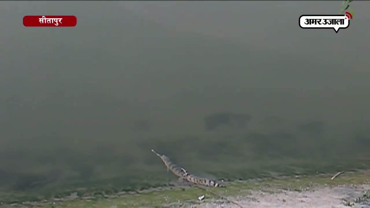 सीतापुर