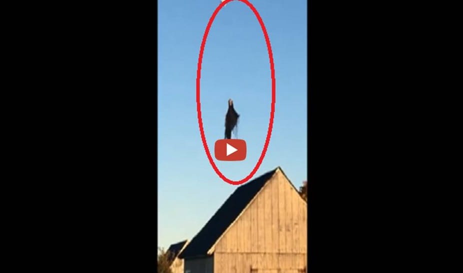 black ghost was flying in the sky made people cry