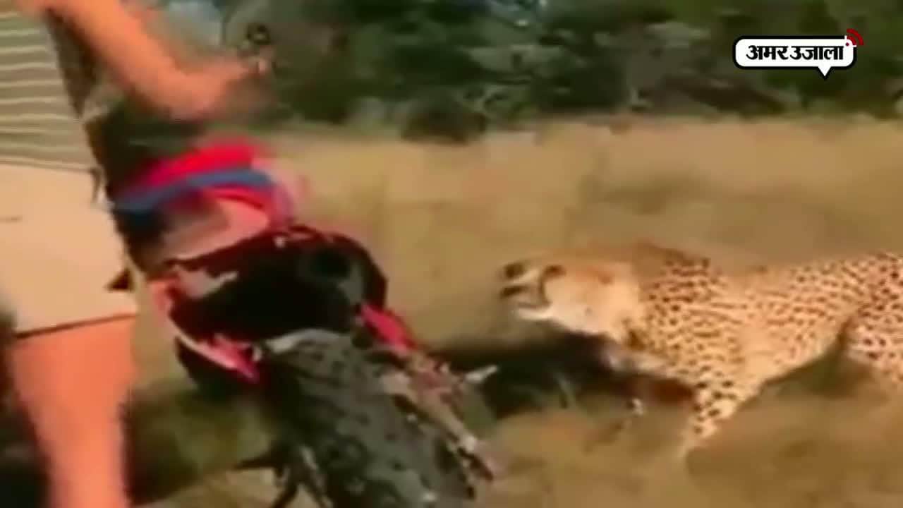 वायरल वीडियो