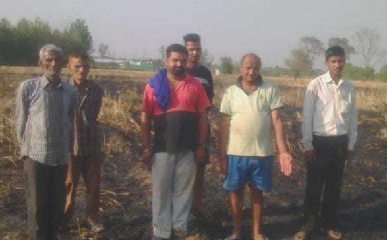wheat burnt in Saloh