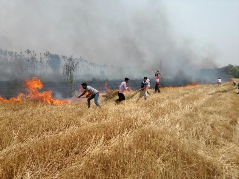  Anarchists set fire in the stalk