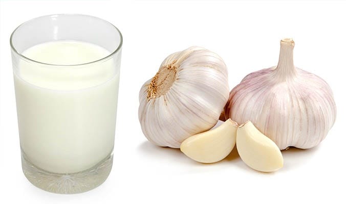 health benefits of garlic milk 