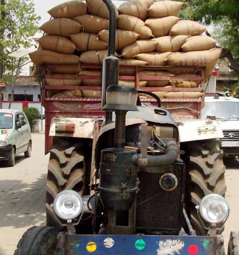 Assistant Commissioner caught 225 sacks of wheat caught