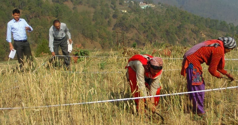 Dam saw crop