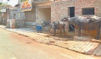 no incrochment, get offier, karnal 