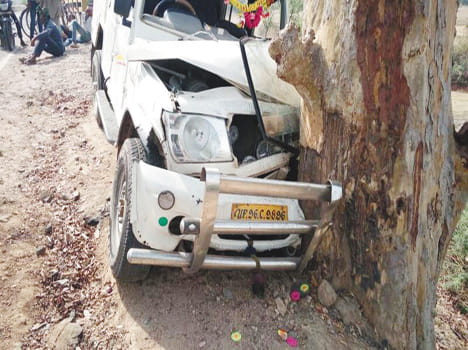 Magnificent Max on the highway collided with the tree, ten injured