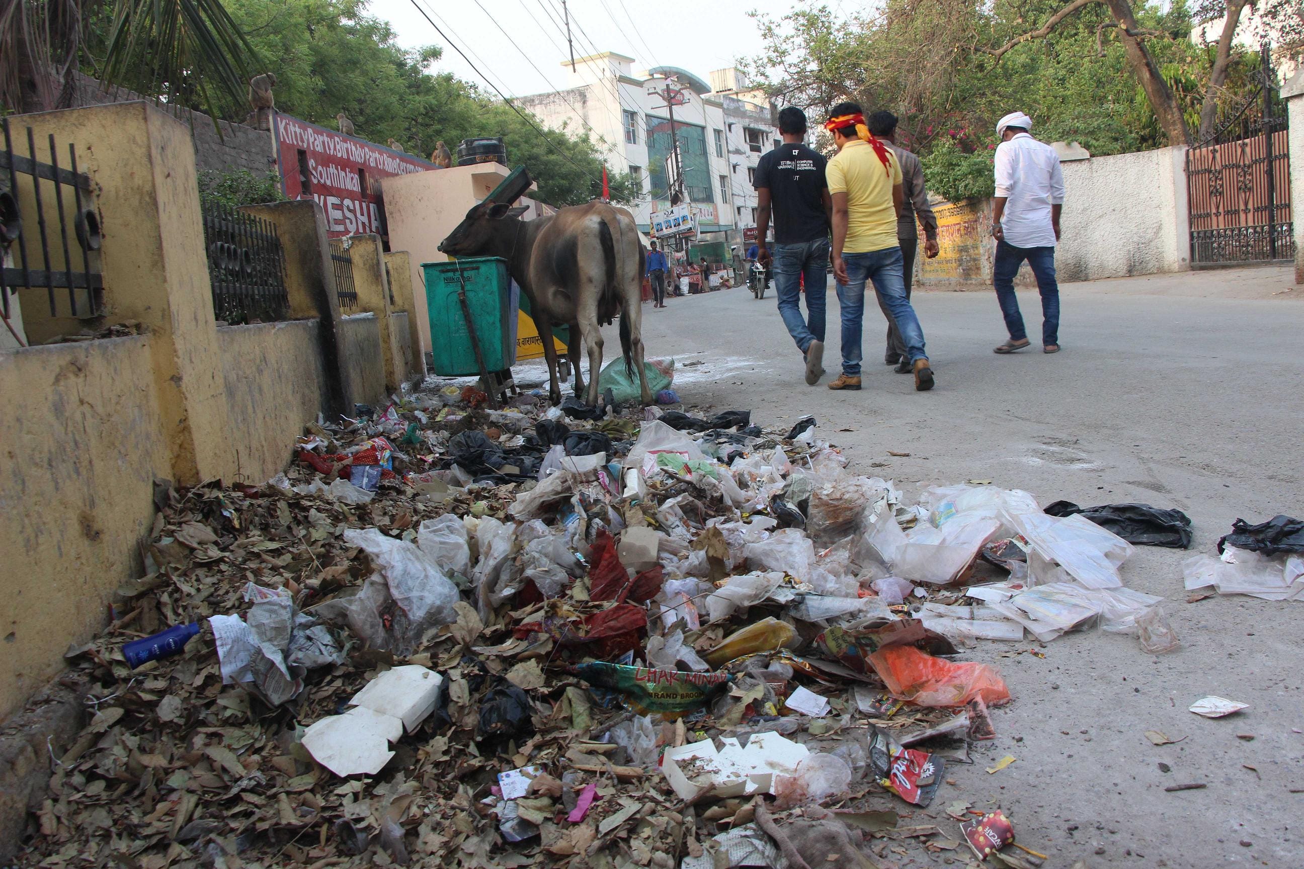 PM Modi parliamentary constituency Varanasi too much Litter