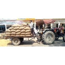 no slip, wheat cell, karnal mandi, karnal 